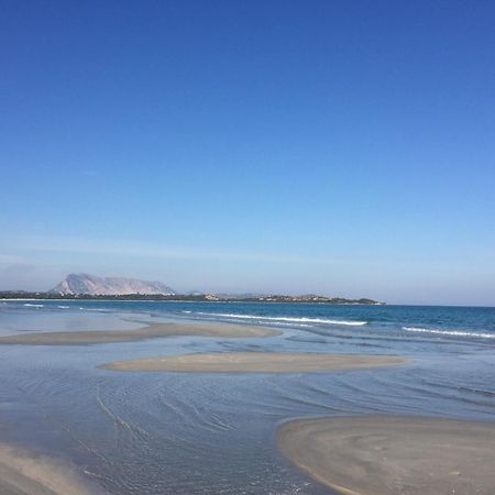 Hotel Al Faro Spiaggia La Cinta Santeodoro 산테오도로 외부 사진