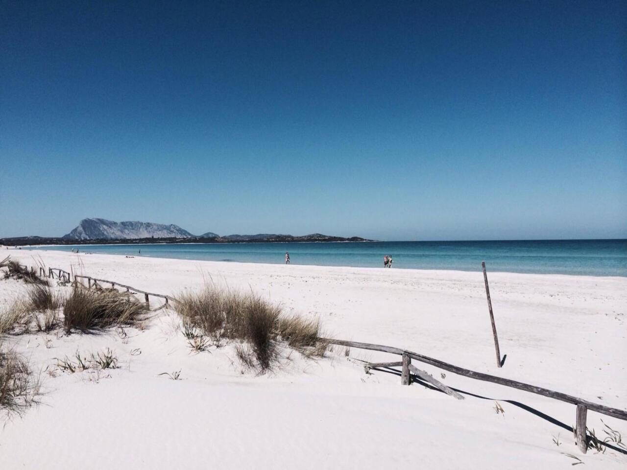 Hotel Al Faro Spiaggia La Cinta Santeodoro 산테오도로 외부 사진