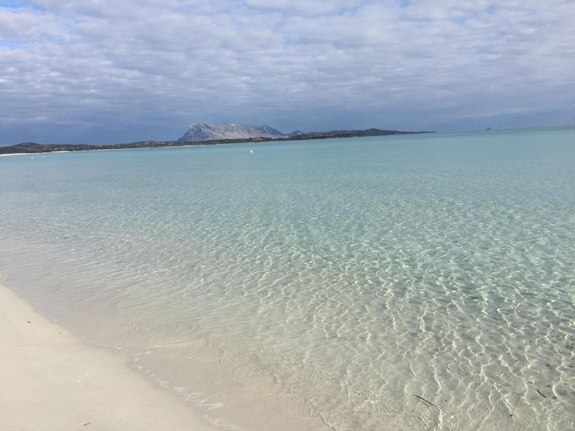 Hotel Al Faro Spiaggia La Cinta Santeodoro 산테오도로 외부 사진